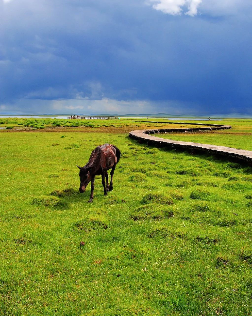 有生之年一定要去四川吗,年轻时不能去四川吗