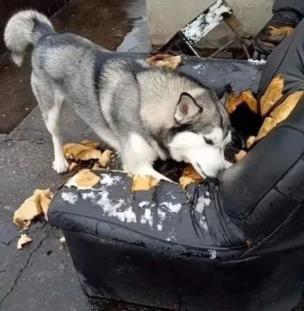 炉石新卡缺点,炉石新版本暴雪