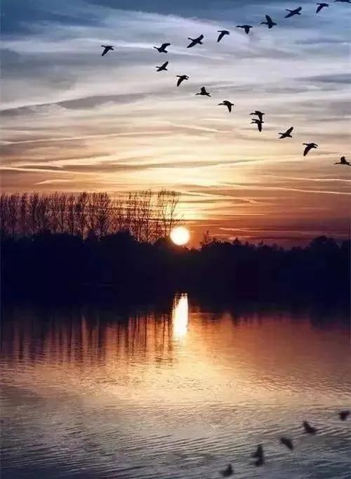 秋风萧瑟天气凉,寒露秋风落叶