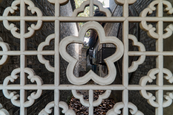 踏春赏花拍美景,踏春赏花逛湖
