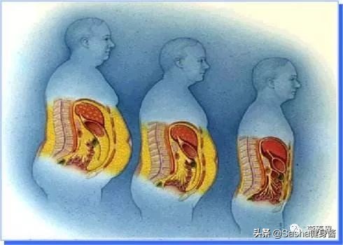 破解喝酒之谜,如何尽快解决啤酒肚