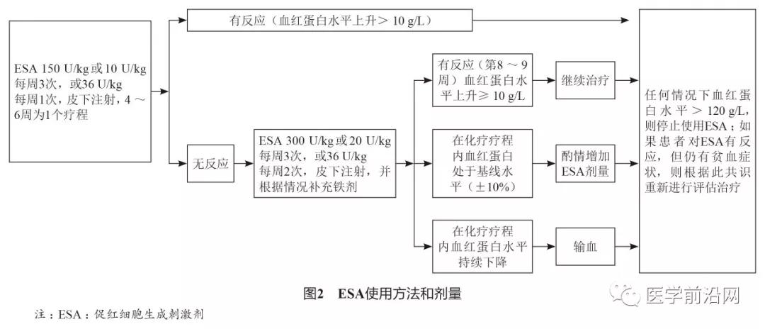肿瘤患者化疗后贫血应该怎么办,肿瘤引起的贫血能化疗吗