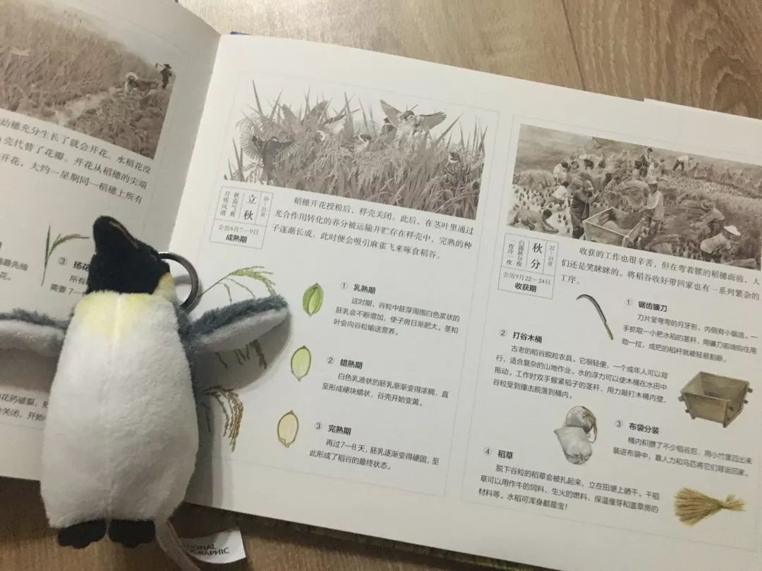 这8套大师级的中国原创绘本，用动画般的画面让孩子目不转睛