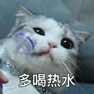 涂磊卖张裕,涂磊老师卖的红酒