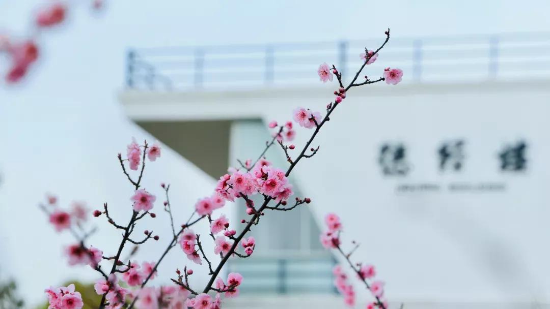 江苏财经大学,南京财经大学双非院校排名