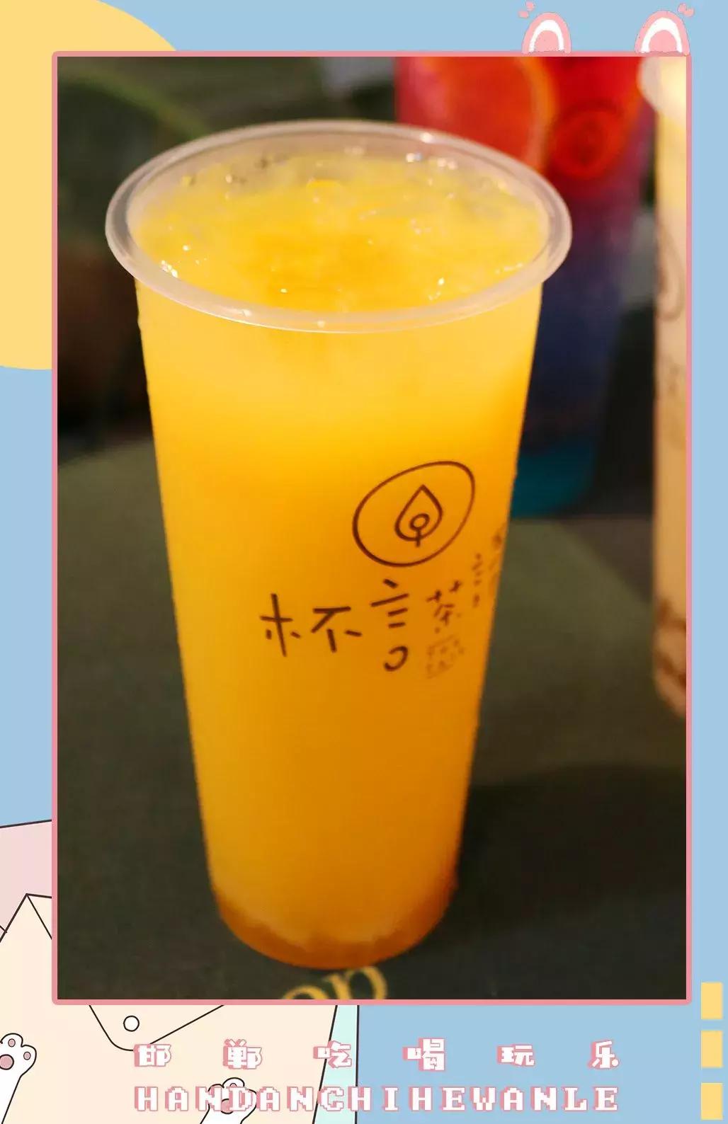 软萌暴击！邯郸这家高颜值猫咖上线，“吸猫”终于提上日程！