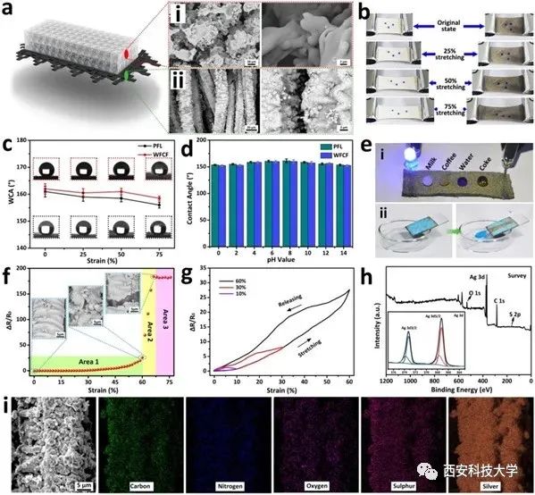 重磅，西科新成果登上《CEJ》！可穿在身上的“发电机”，太赞了