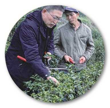 重庆市百千万人才工程,涪陵人才政策