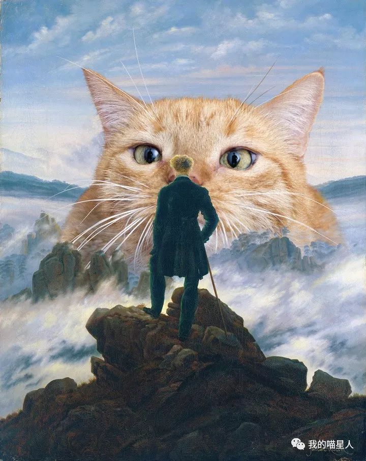 胖橘猫画作,一位画家把自己的猫画成卡通人物