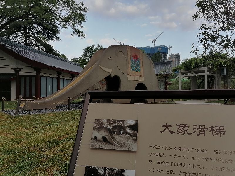 兴庆公园，你仍然是那个环境清幽、颜值在线的美丽园林