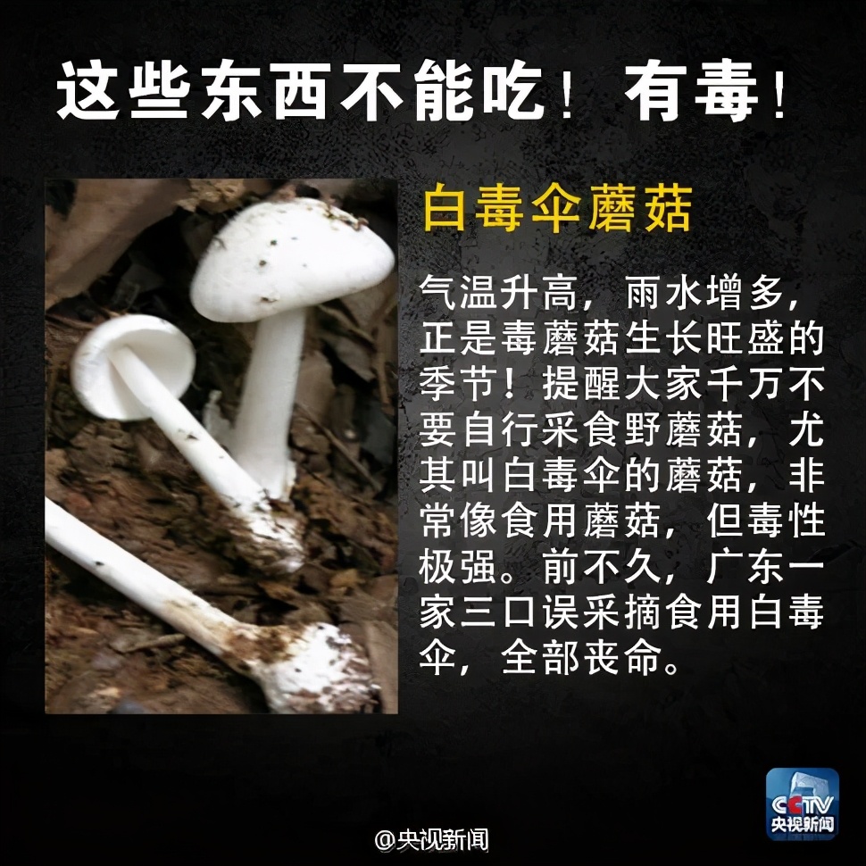 食安提示,食安预警了咋办