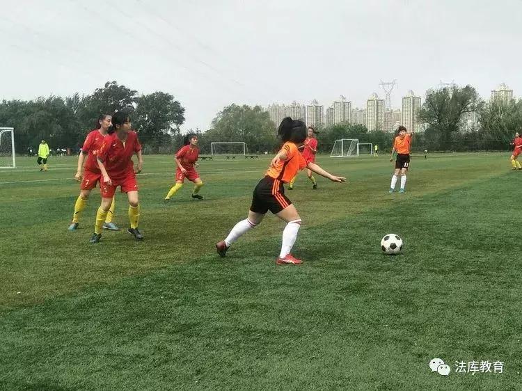 2019年沈阳市青少年校园足球比赛,2019辽宁省青少年足球锦标赛