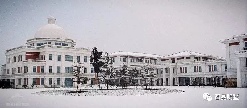 下一个教育强区，就在七大名校汇聚的青浦