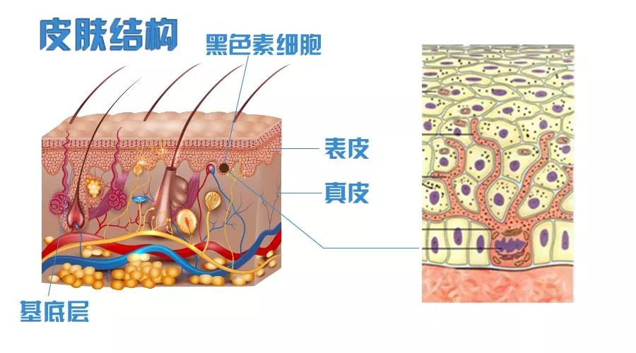 谨慎直径大于6毫米的痣
