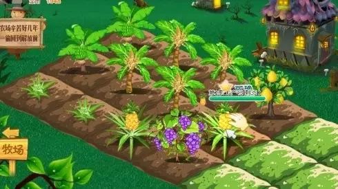 置爱｜植物1.0是种在盆儿里的，植物2.0都趴在墙上的