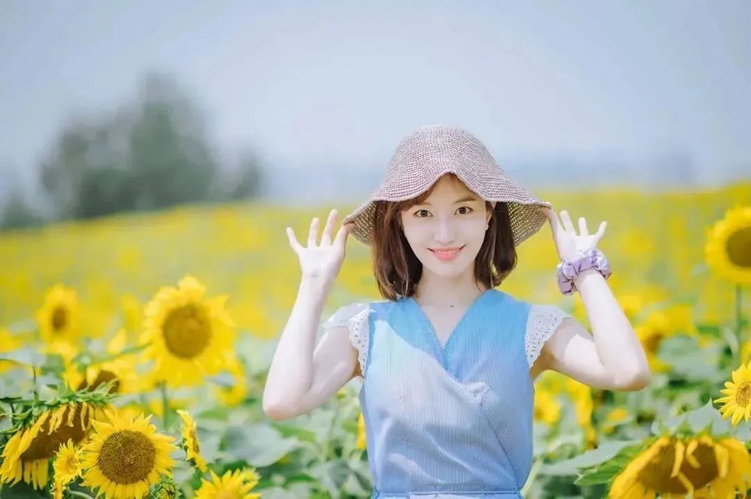 鏈夌埍鐨勫悜鏃ヨ懙,鏆栧績鐨勫悜鏃ヨ懙