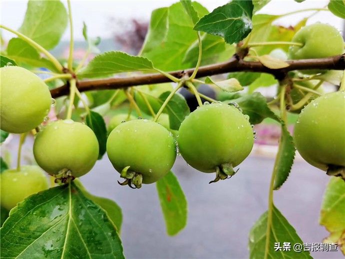 适合十一自驾游带孩子旅游的地方,高考亲子游攻略