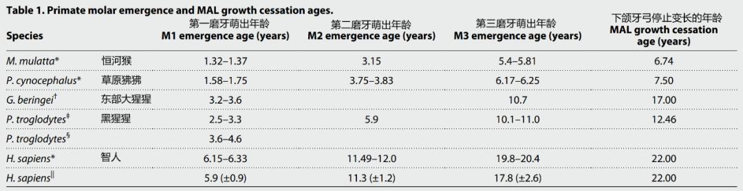 长智齿长寿,23岁长智齿是因为变聪明了吗