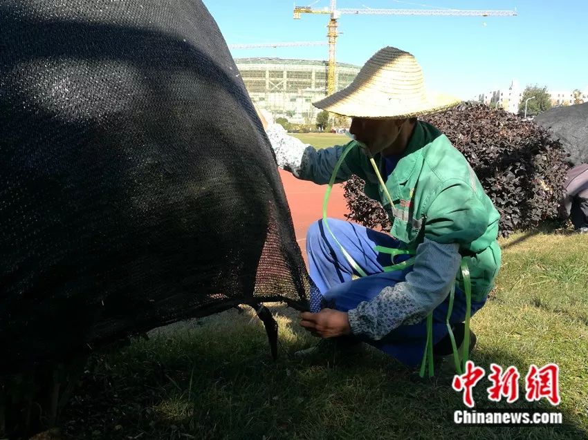 逃课的大学生，看到园丁大叔躲角落看医书，你惭愧吗？