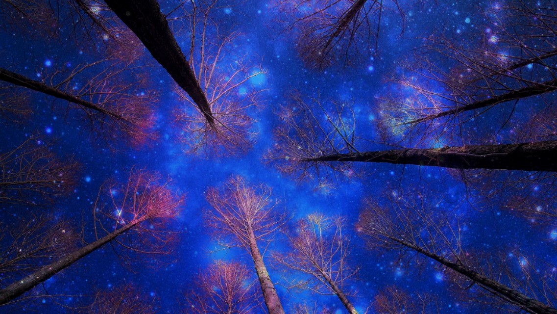 鼓励别人创业的心灵鸡汤,关于创业的心灵鸡汤一百多字