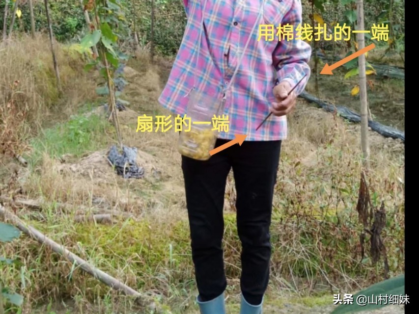罗汉果授粉正当时，3种授粉方式选哪种？老农说授粉工具更关键