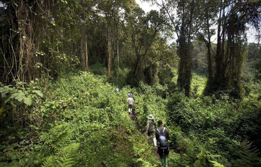 世界上最便宜的公园门票,全球最贵的公园门票10000元