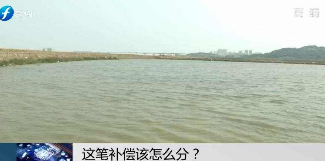 闹心|眼看快收成了，却遇上了麻烦事！这笔清退补偿究竟该怎么分？
