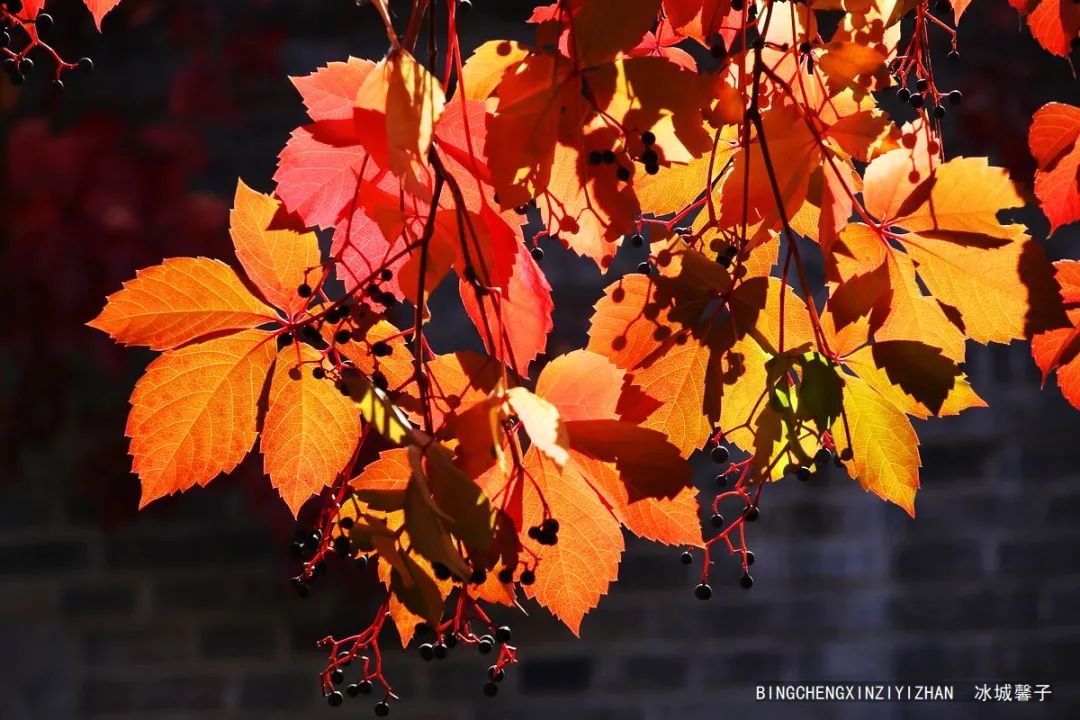 邂逅长城下的小镇北京古北水镇,邂逅长城下的北京古北水镇