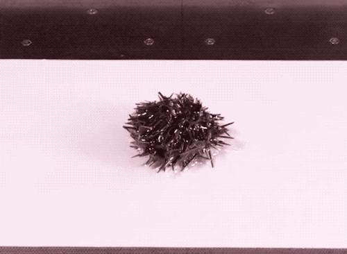 抽真空的牛肉是放冷藏还是冷冻,超市抽真空