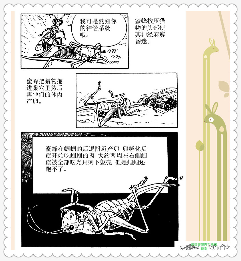 昆虫记法布尔动画片,昆虫记法布尔全套