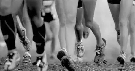 防震跑步黑科技鞋,脚踝护具黑科技