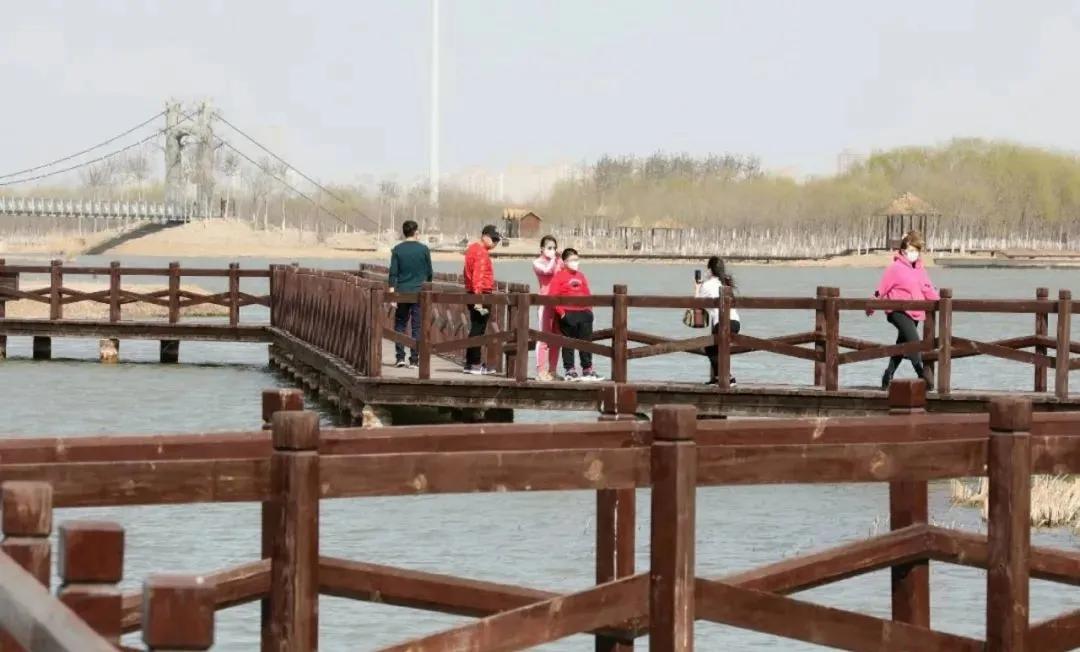 天津市五一新开放的公园,天津春暖花开西沽公园