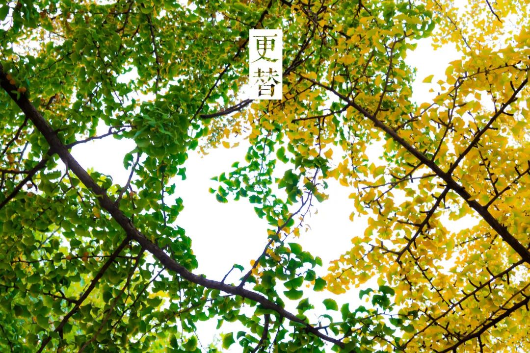 旅游三亚和厦门哪个更值得去,三亚和厦门哪一个更值得去旅游