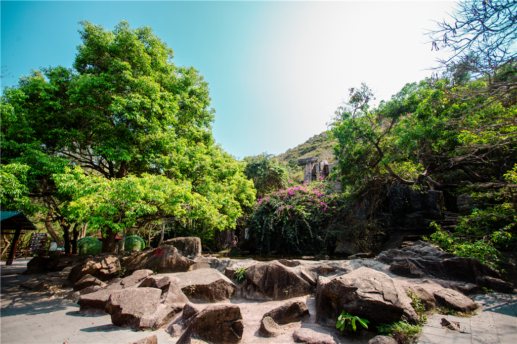 海南必玩猴岛与呆呆丨看萌呆猕猴，呆呆岛发呆