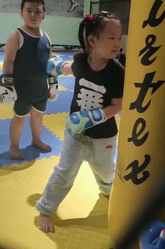 搏击跆拳道散打哪个适合孩子,搏击散打跆拳道学哪个好