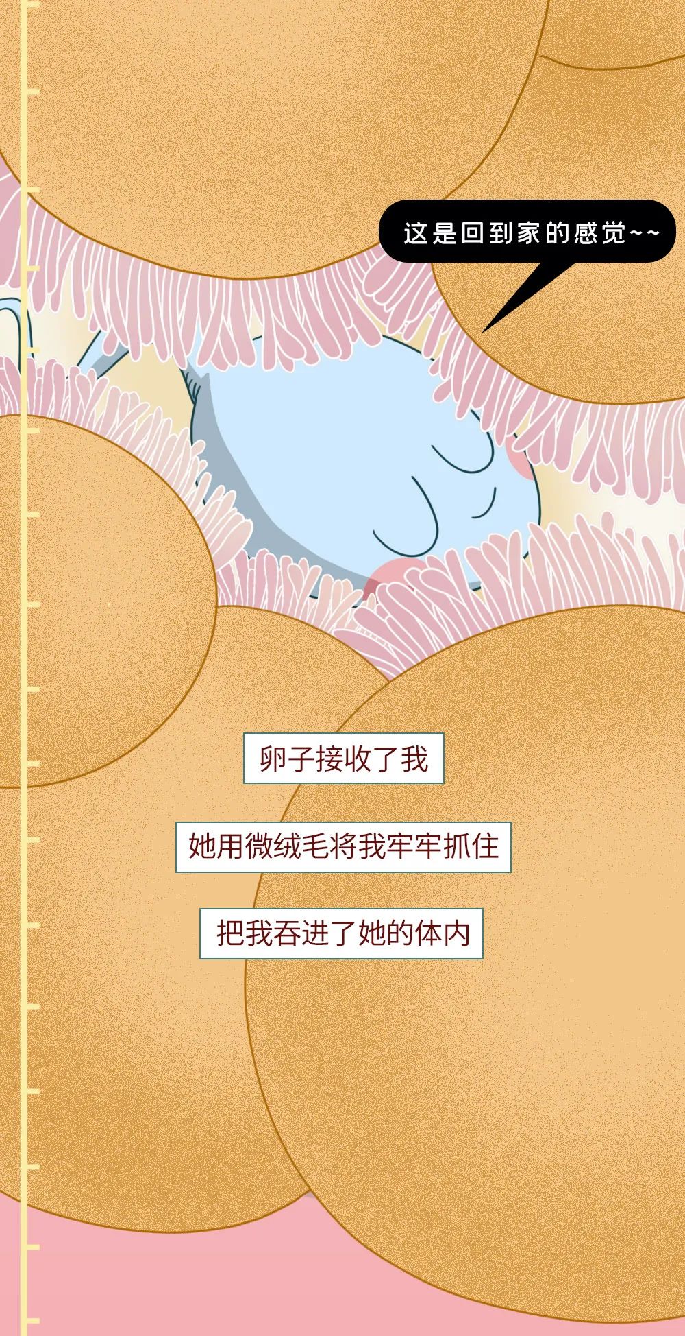 科普知识精子液化后的状态,男性精子在体内存活时间
