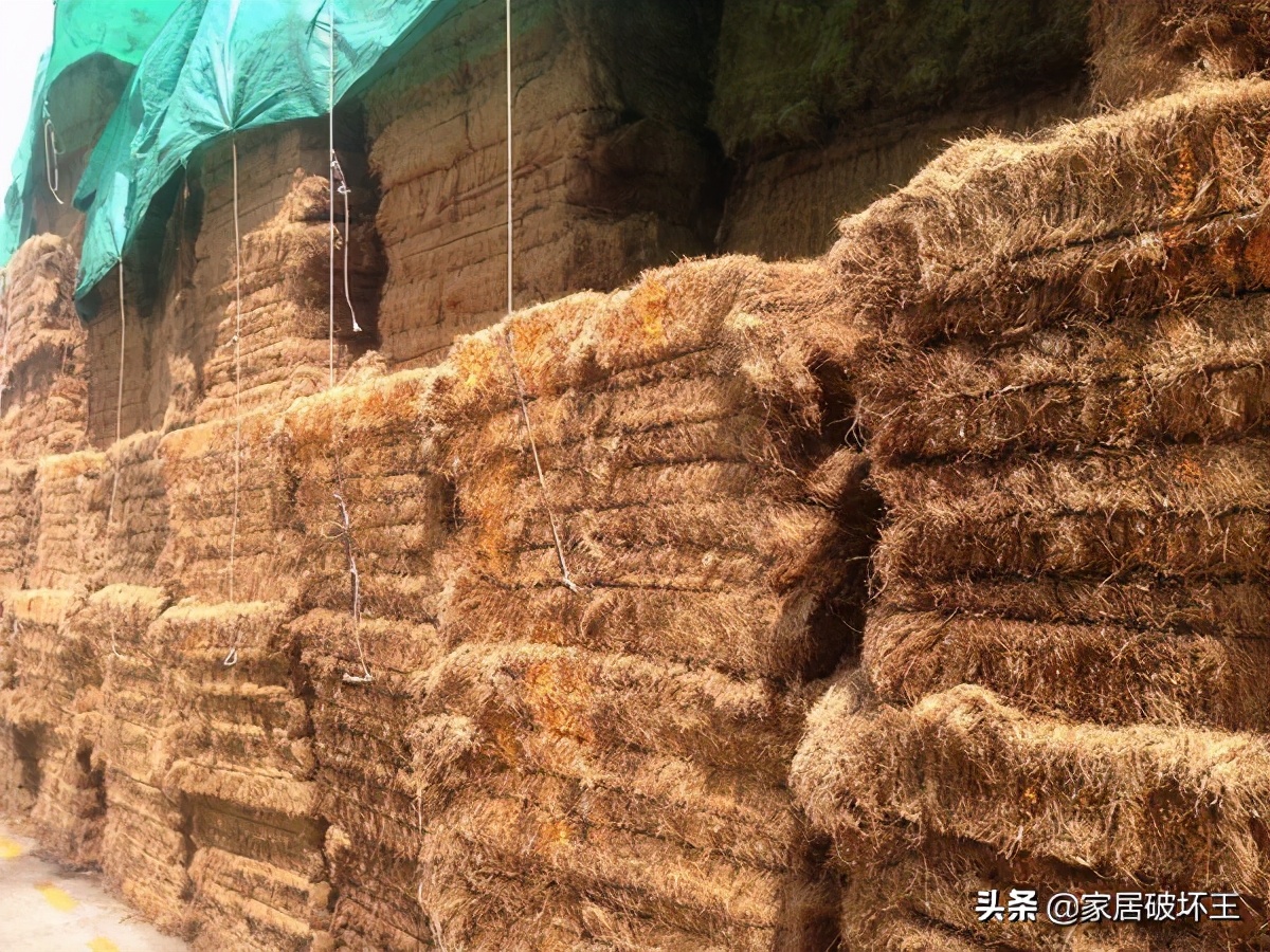 买床垫不踩坑选哪一种比较好,买床垫被骗了怎么办