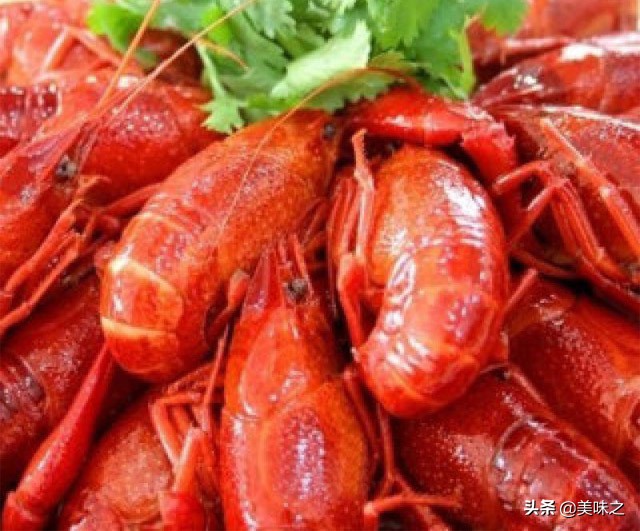 小龙虾的5种做法,小龙虾的经典做法大全视频