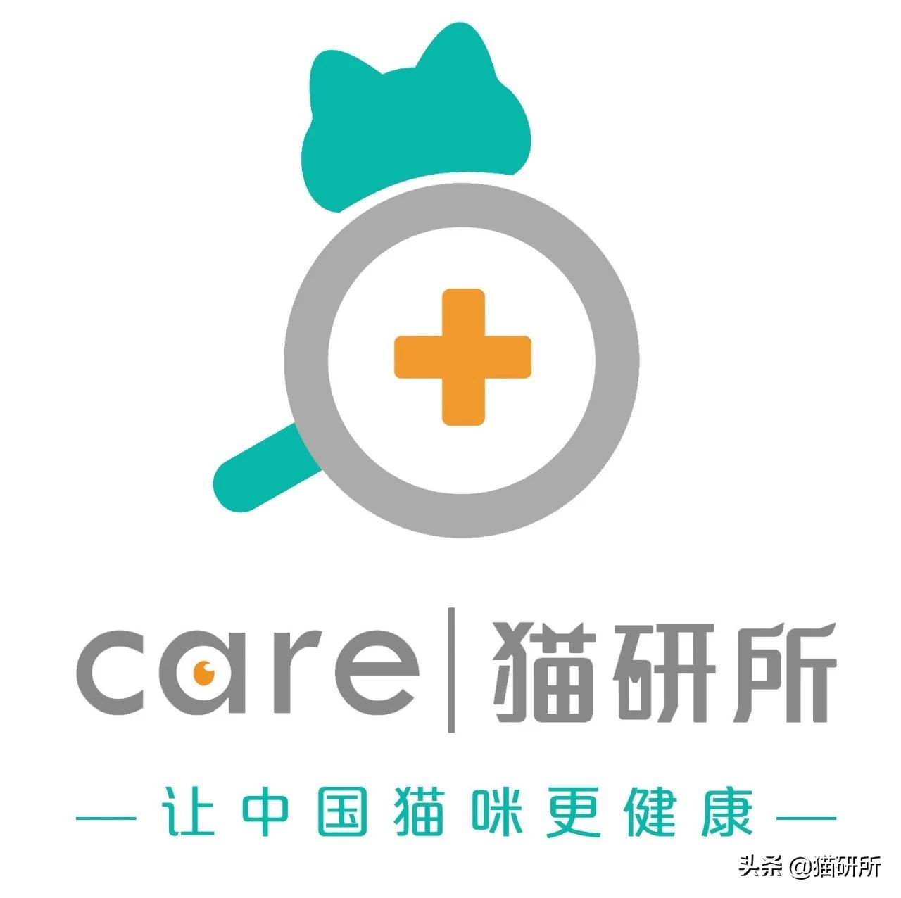 养了十多天的猫猫想抱它要怎么做,养了两年的猫怎么教