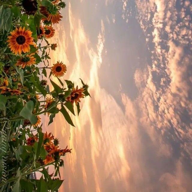 有趣的锁骨千篇一律,好看有趣的锁骨