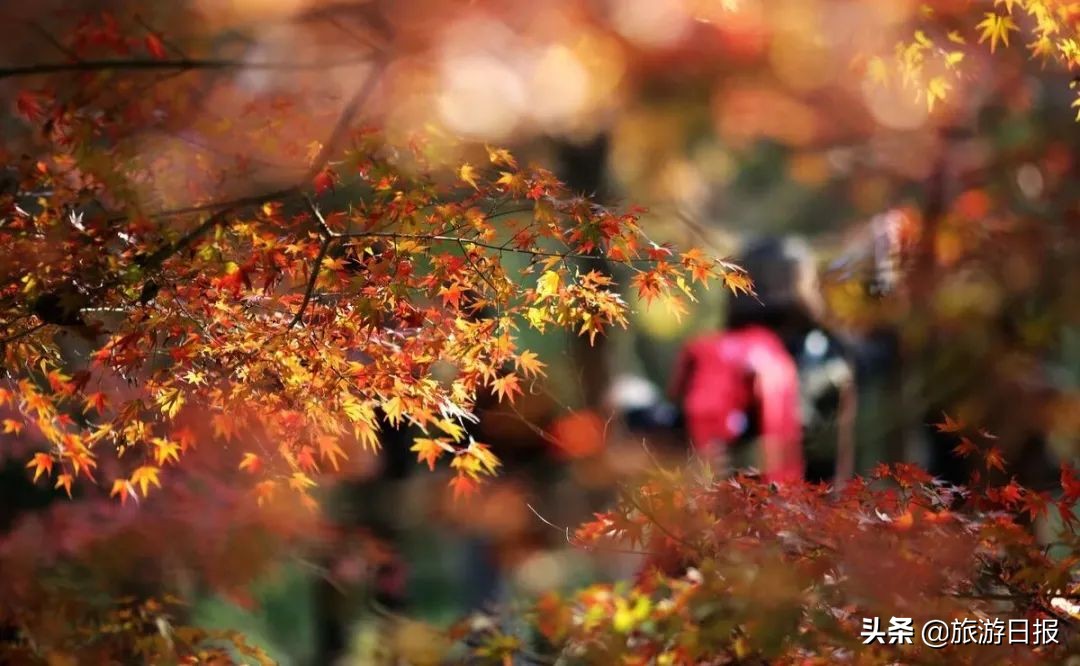 100个经典寺庙,让人惊艳的寺庙