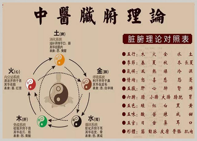 气虚导致疲惫,气虚是导致身体劳累的原因吗