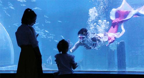 北京老牌水族馆富国海底世界，49.9元1大1小探险蓝色海洋的秘密
