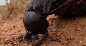 老北京俏皮话顺口溜,老北京俏皮话完整版