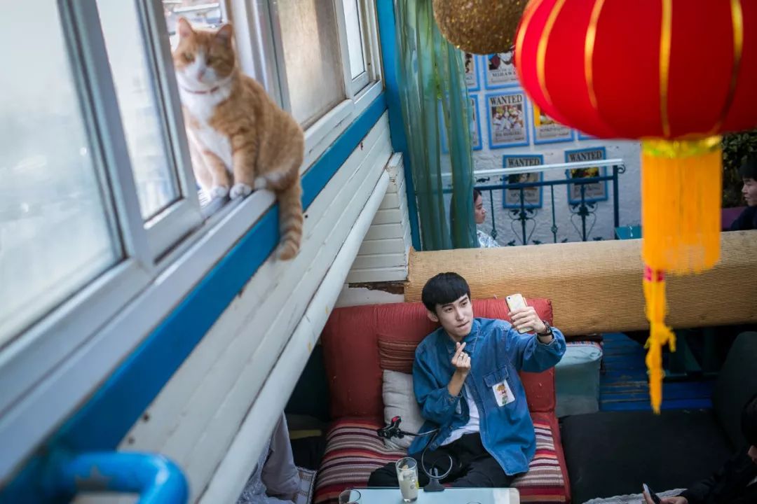 陌陌和唐岩直播,陌陌唐岩直播视频