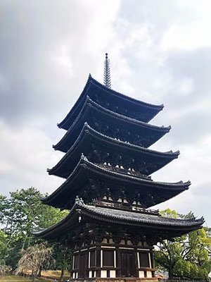 2020鏃ユ湰澶ч槳,澶ч槳浜兘濂堣壇鍏ぉ瀹夋帓