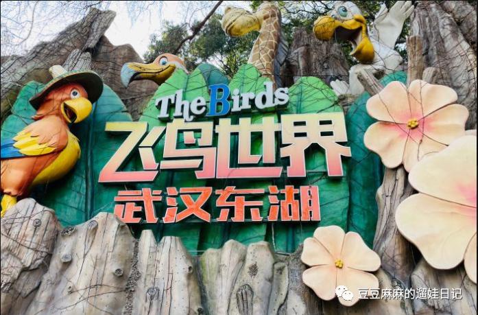 飞鸟世界和海洋世界,童话世界的小动物