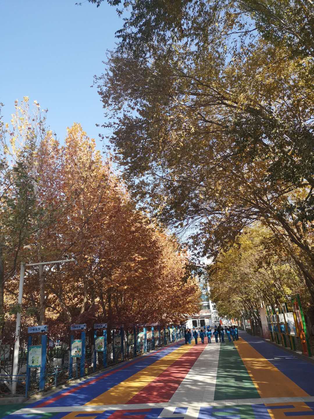 原创校园,原创校园文学作品