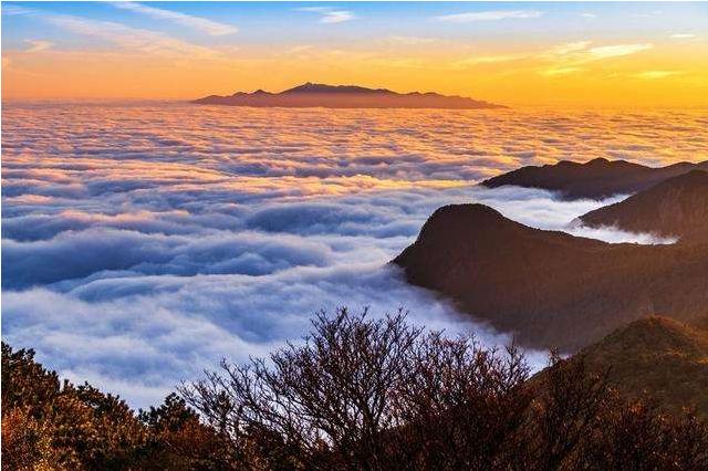 七天酒店郑南雁,七天郑南雁