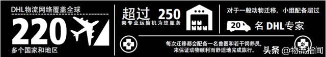DHL的50年：12万名员工，就是12万名国际快递专家